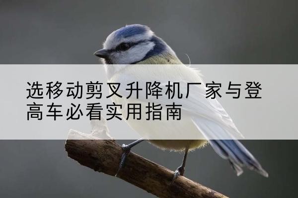 谢通门电动升降机厂家-选移动剪叉升降机厂家与登高车必看实用指南