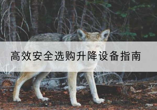 谢通门升降货梯厂家推荐-*安全选购升降设备指南