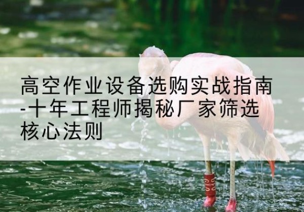 谢通门剪叉式升降机厂家-高空作业设备选购实战指南-十年工程师揭秘厂家筛选核心法则
